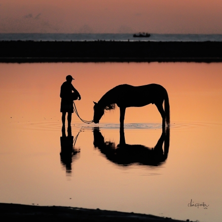  by artist Claire Porter